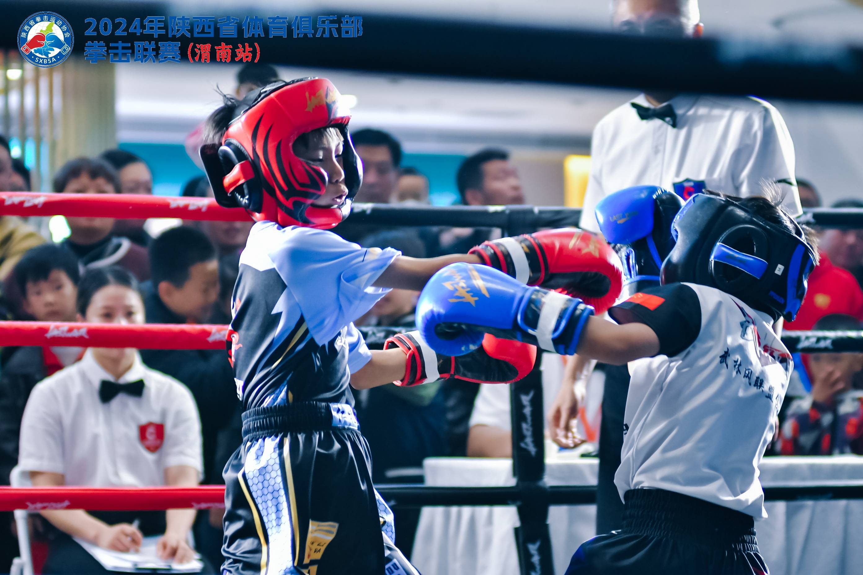 拳击赛季收官，冠军榜单揭晓