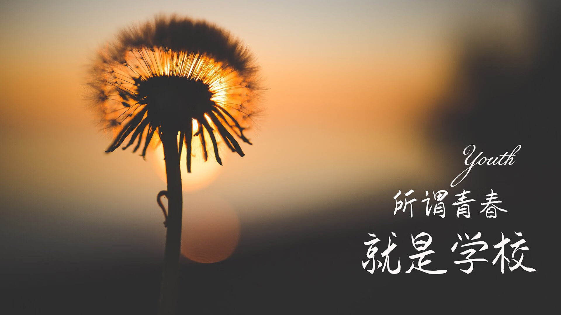 沉默杀机,迪亚斯一剑封喉,梦剧场夜色只为他一人点亮