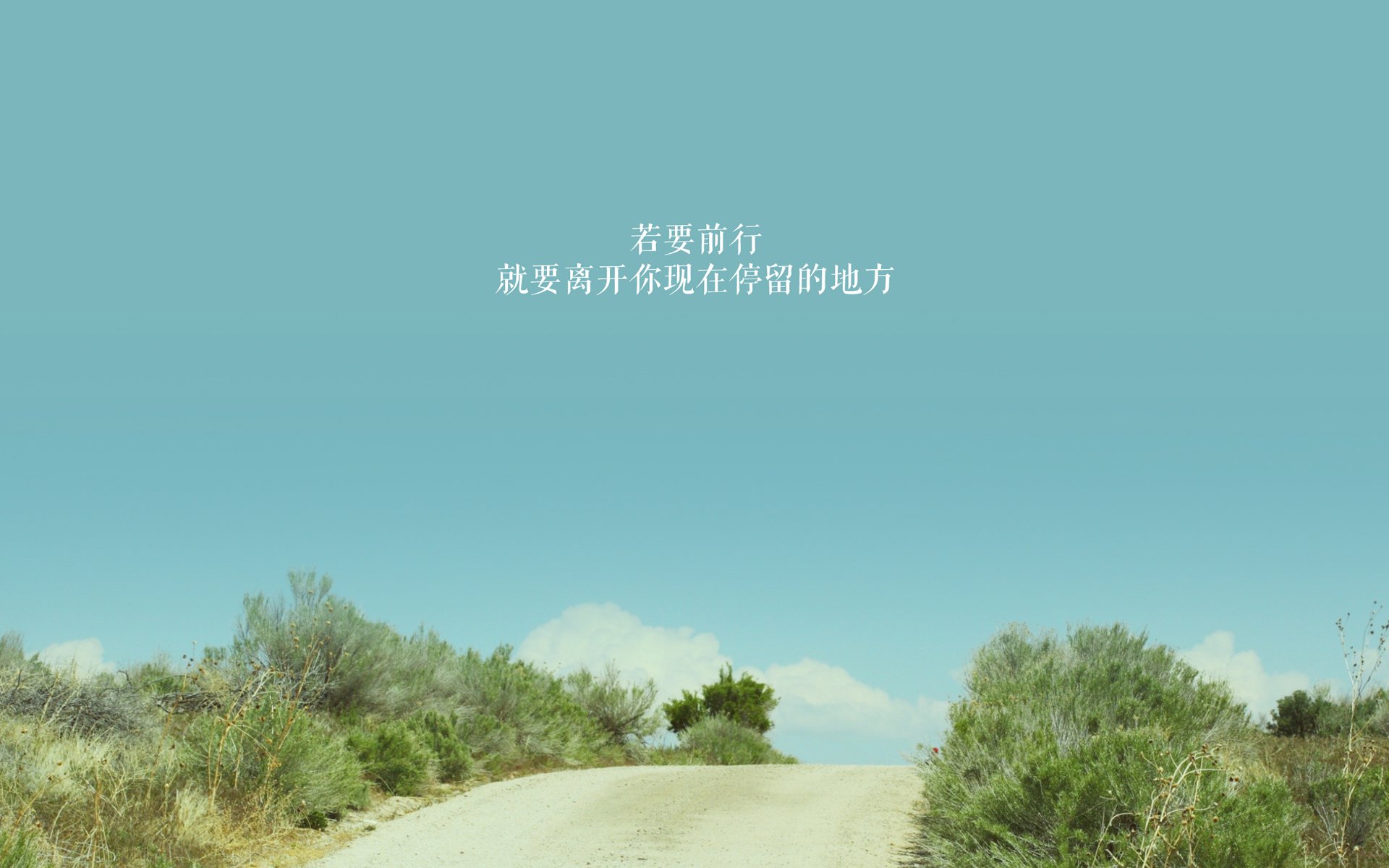 当鹈鹕啄落太阳,当东契奇驶入弯道—唯一性,是改写命运的密匙