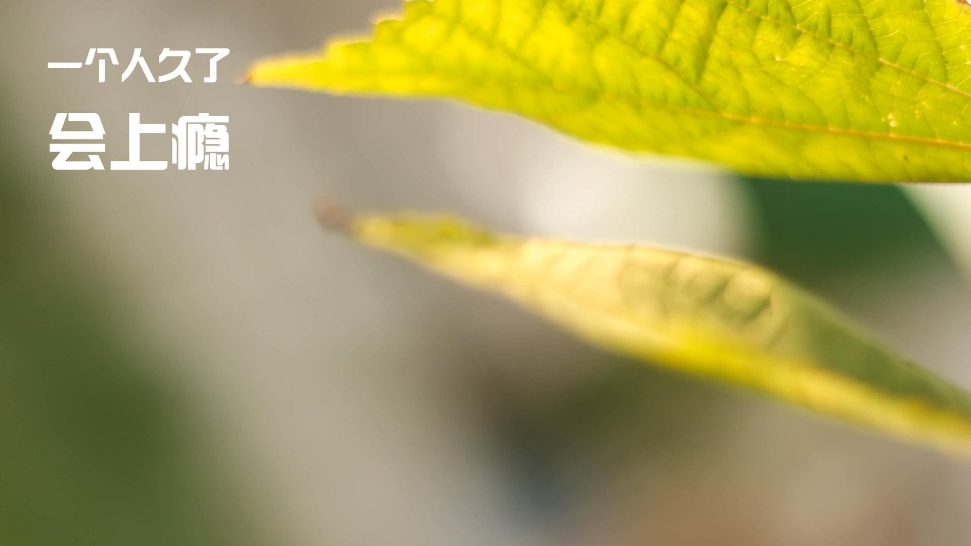 统治与微小差距，当穆勒的史诗之夜遇上法国队的现实加时