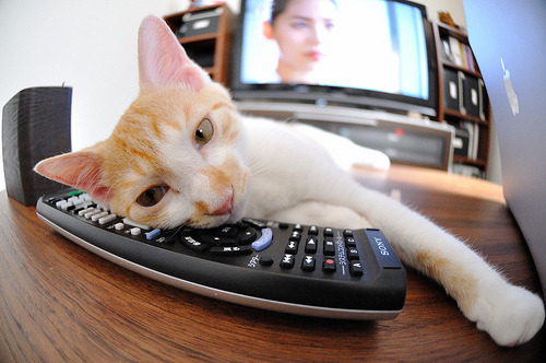 一战封神!友谊赛阿森纳击溃非洲劲旅,拉什福德临危救主成关键先生