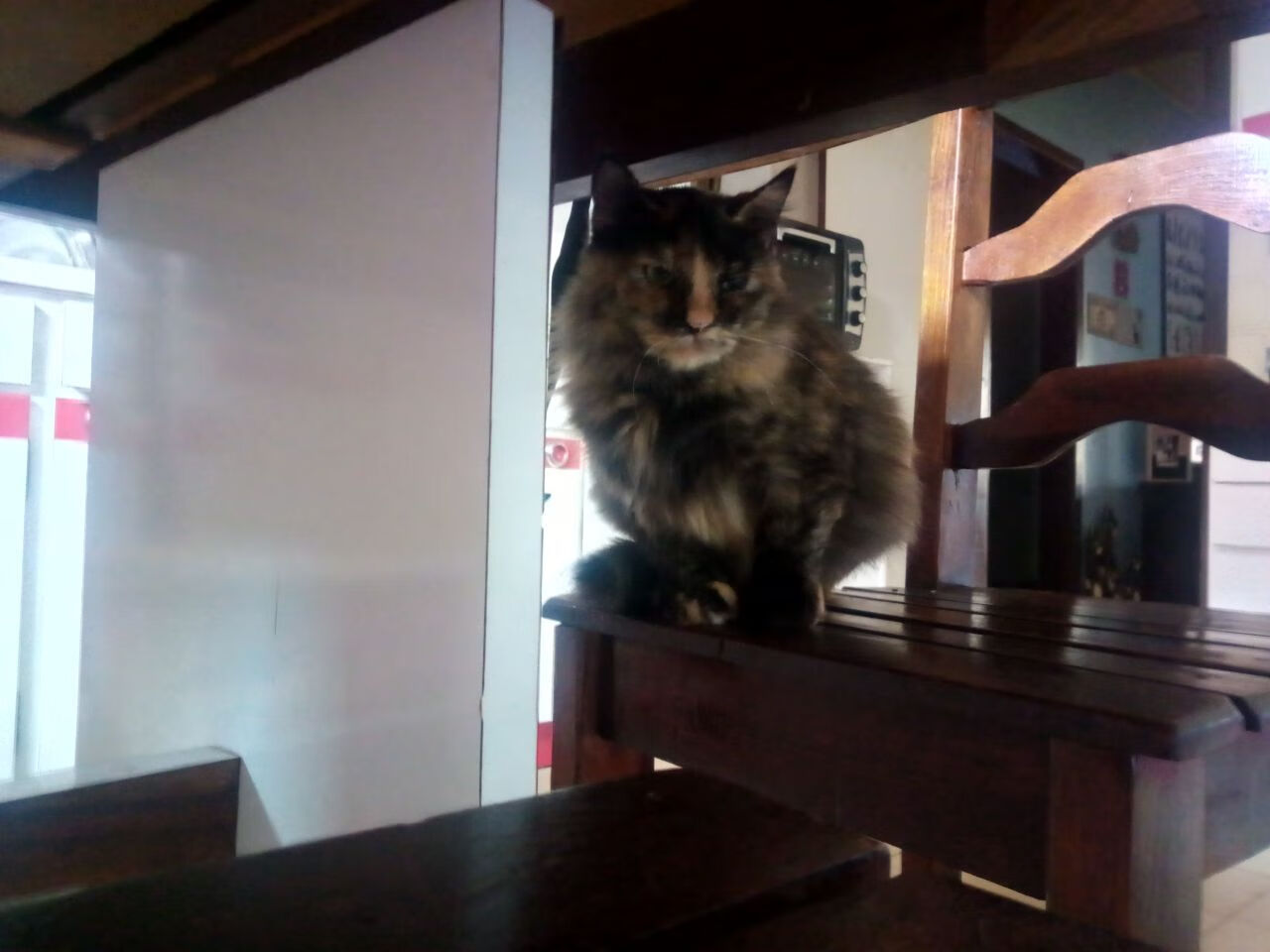 双重奏，德布劳内手术刀破混沌，郁金香防线织天罗锁冰岛