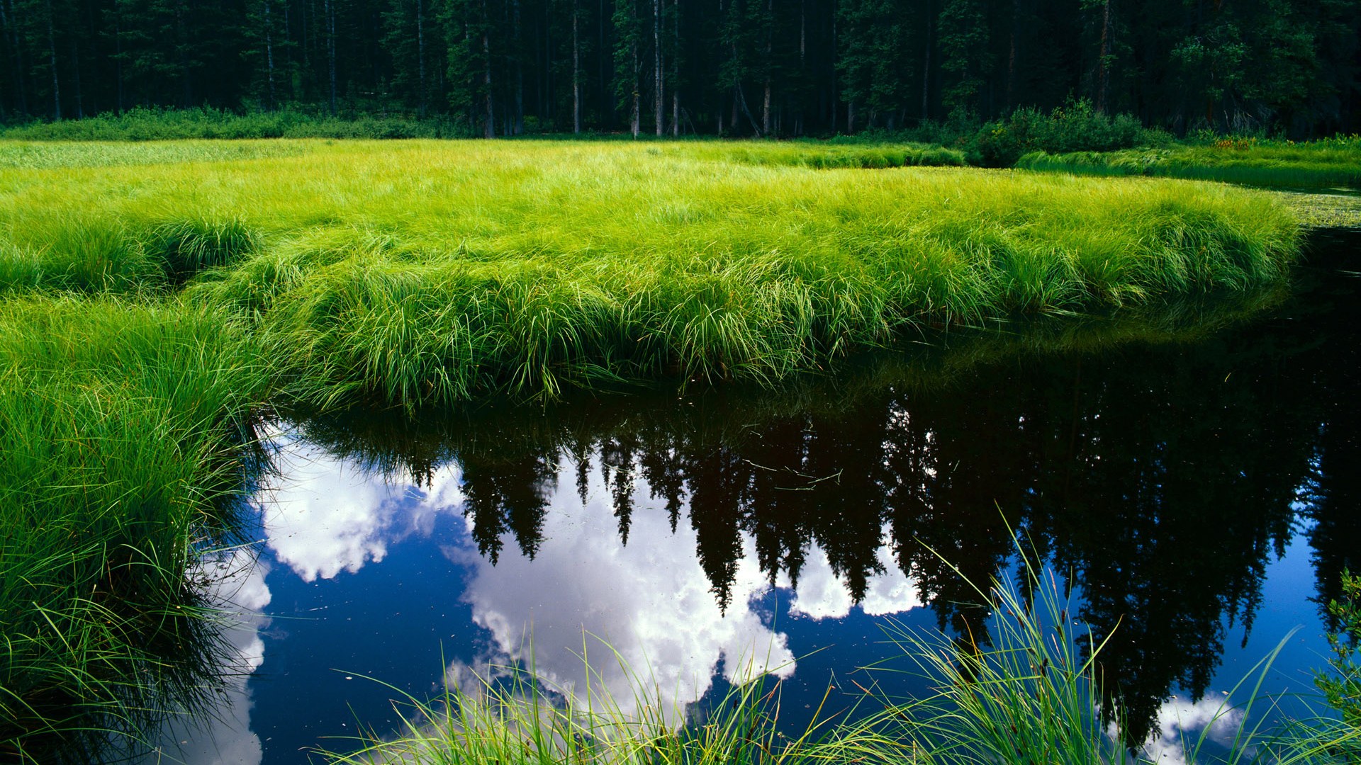 超新星引爆红牛防线！福登数据核爆，马竞鏖战莱比锡启示录