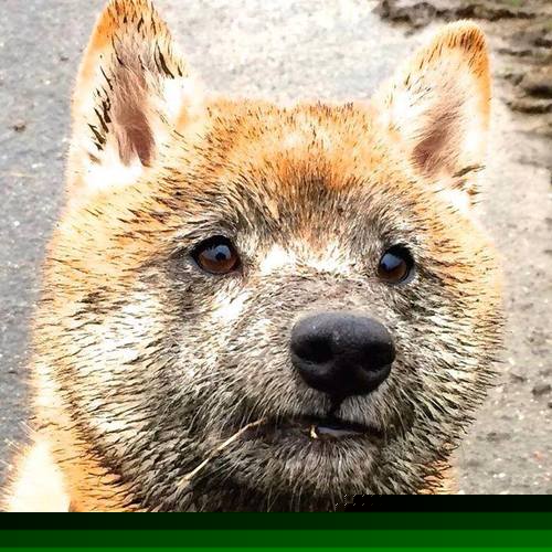 星光与利刃，巴黎过关心脏中，加维铸就的完美攻防交响