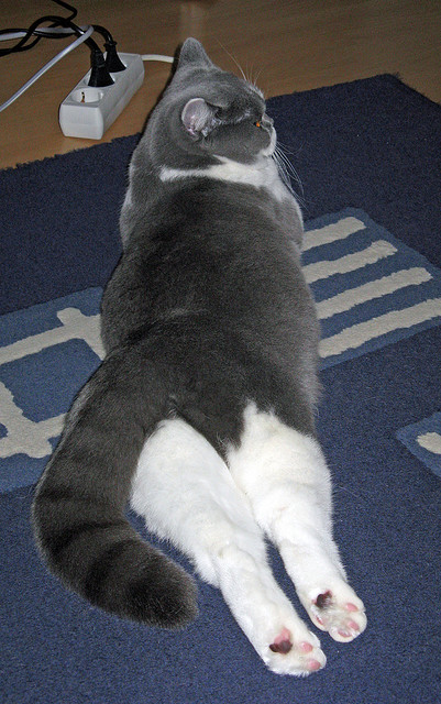 德布劳内手术刀刺穿暗夜，丹麦战车碾过希腊废墟—2024欧洲杯预选赛的冰与火之歌