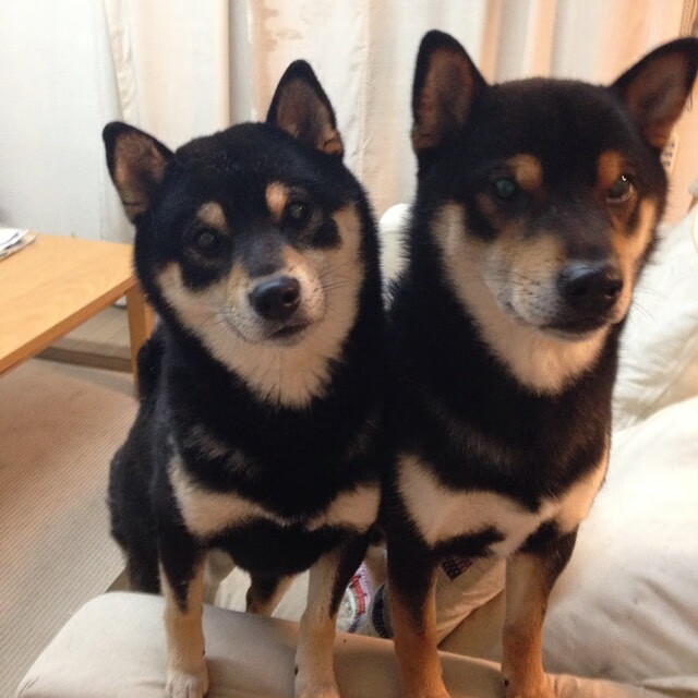 破红黑，克桑巴，梅西硬仗之王的双重铁证