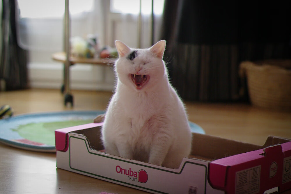 胜利的起点，当2026的星光照亮2023那个雨夜