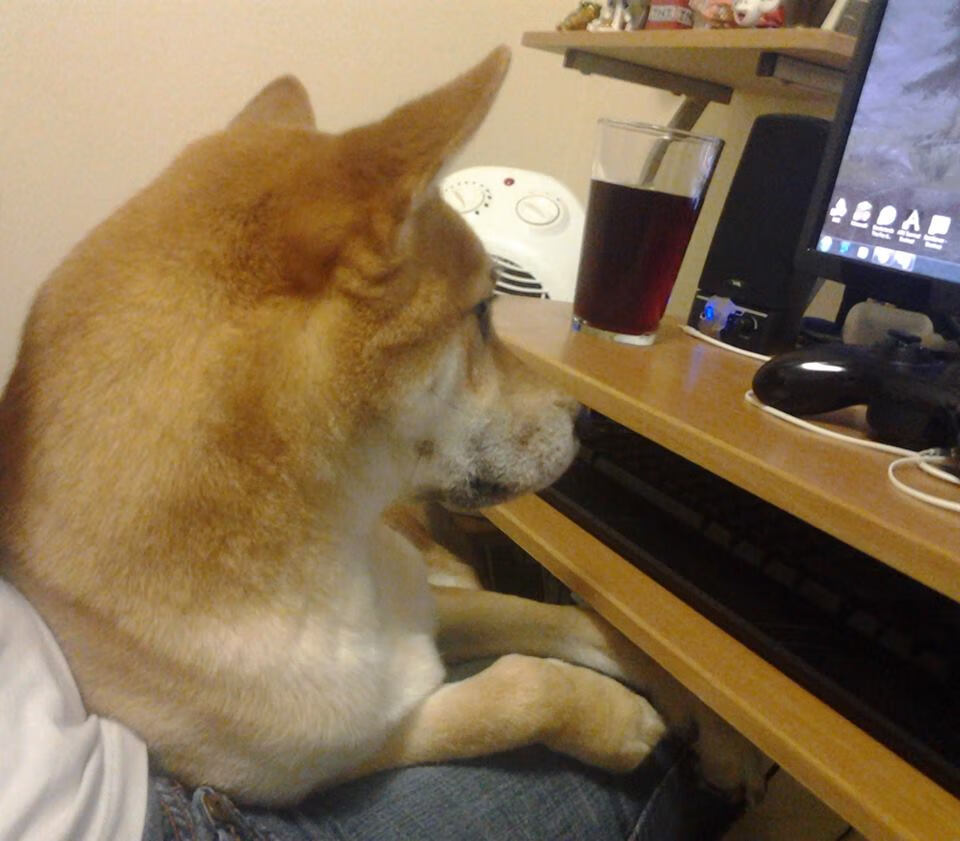 历史唯一!德罗赞疯砍40+拒绝30分逆转,雄鹿创耻辱纪录