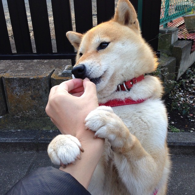 命运的轮盘赌,杜兰特末节17分逆天改命,森林狼压哨绝杀独行侠