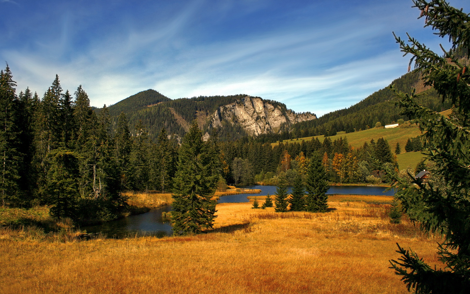 当维尼修斯空降非洲杯，一场平行时空的喀麦隆-马里战术博弈