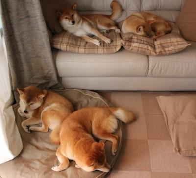 法国末节逆转卡塔尔，佩德里用实力回应质疑