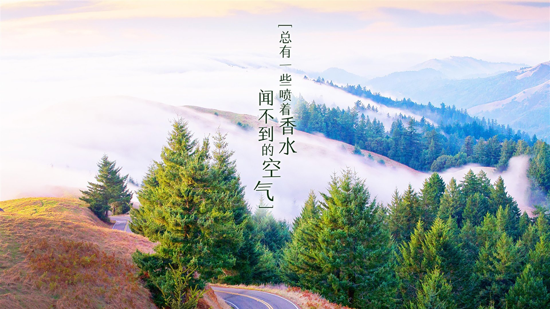 跨洋对决，当辽宁铁骑遭遇霍勒迪的攻防枢纽