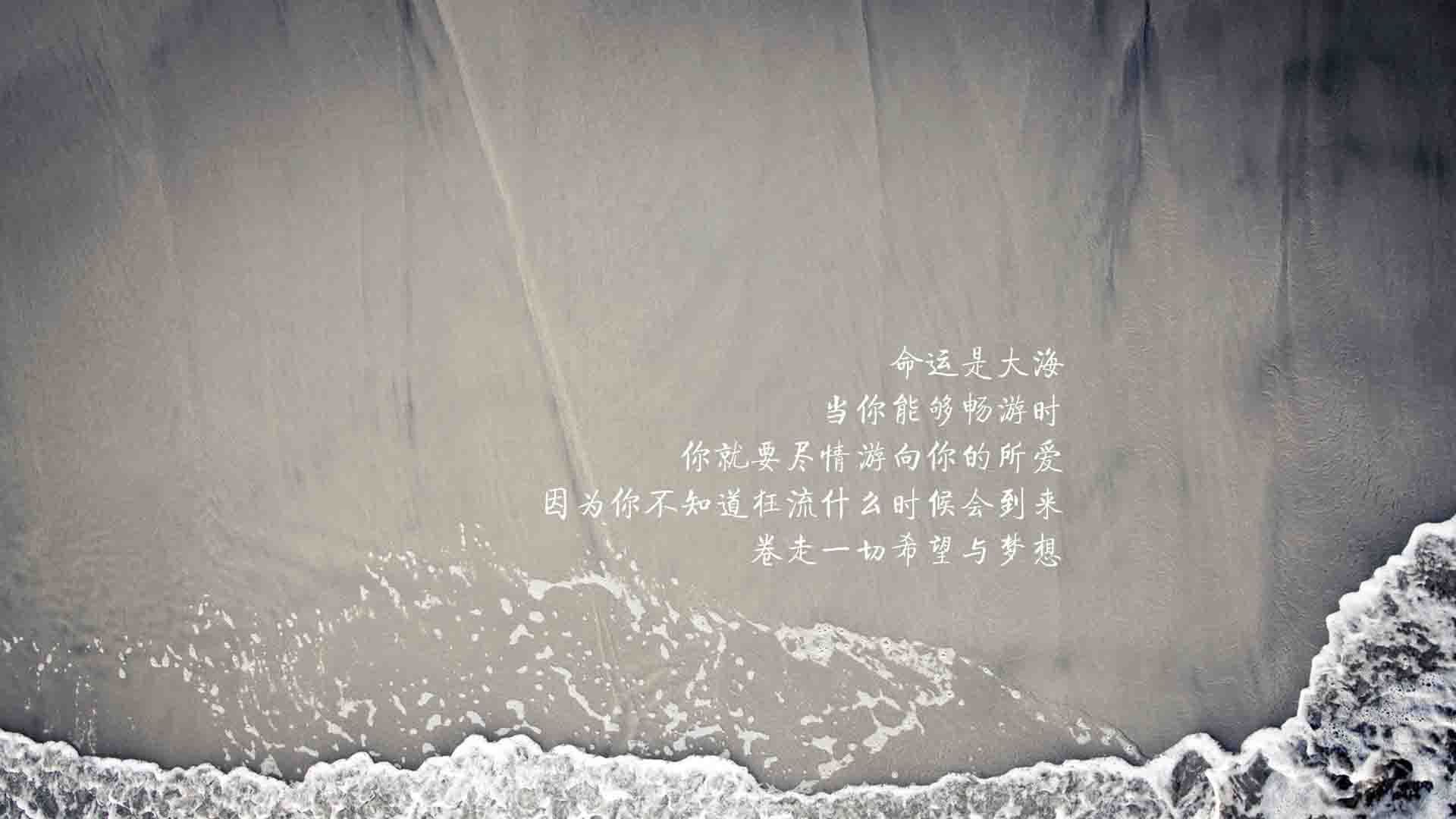(供您选择)