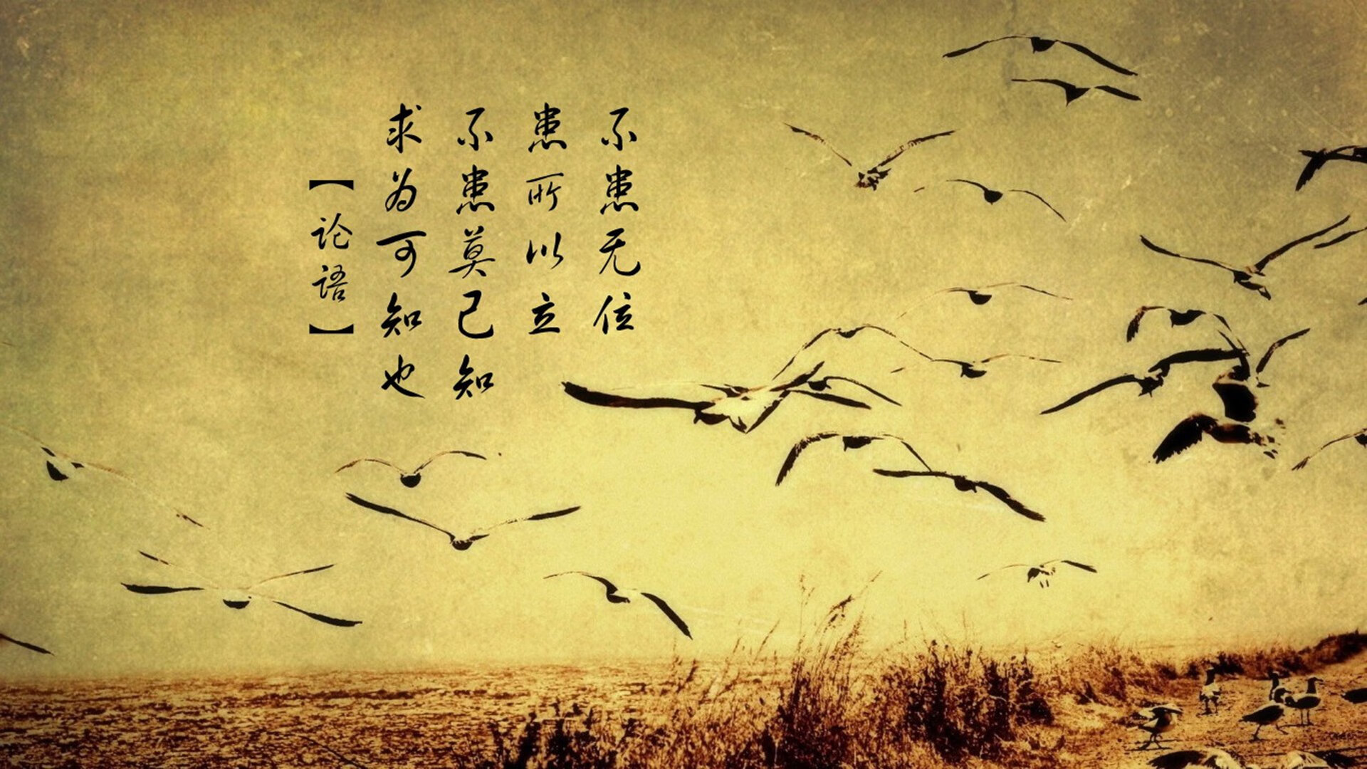 沙漠风暴，印度足球的加冕之夜，阿方索·戴维斯领衔三叉戟撕裂墨西哥防线